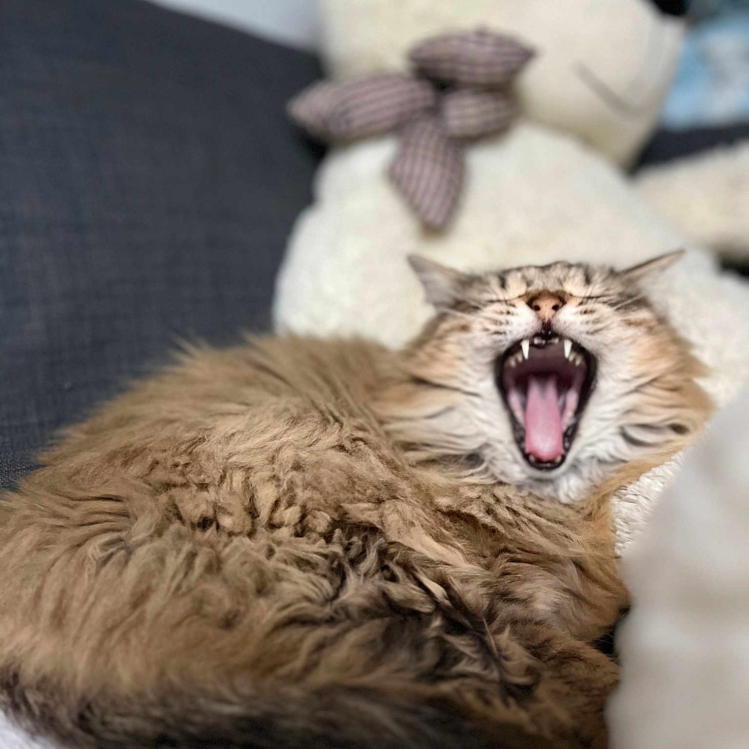 Esma