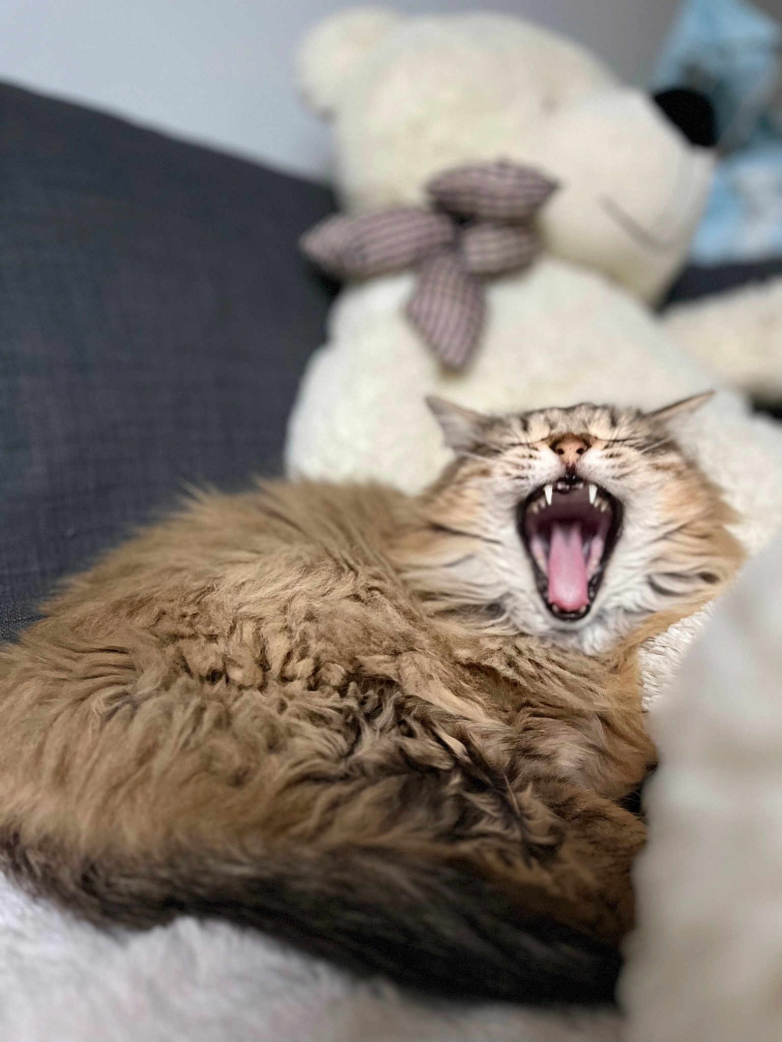 Esma