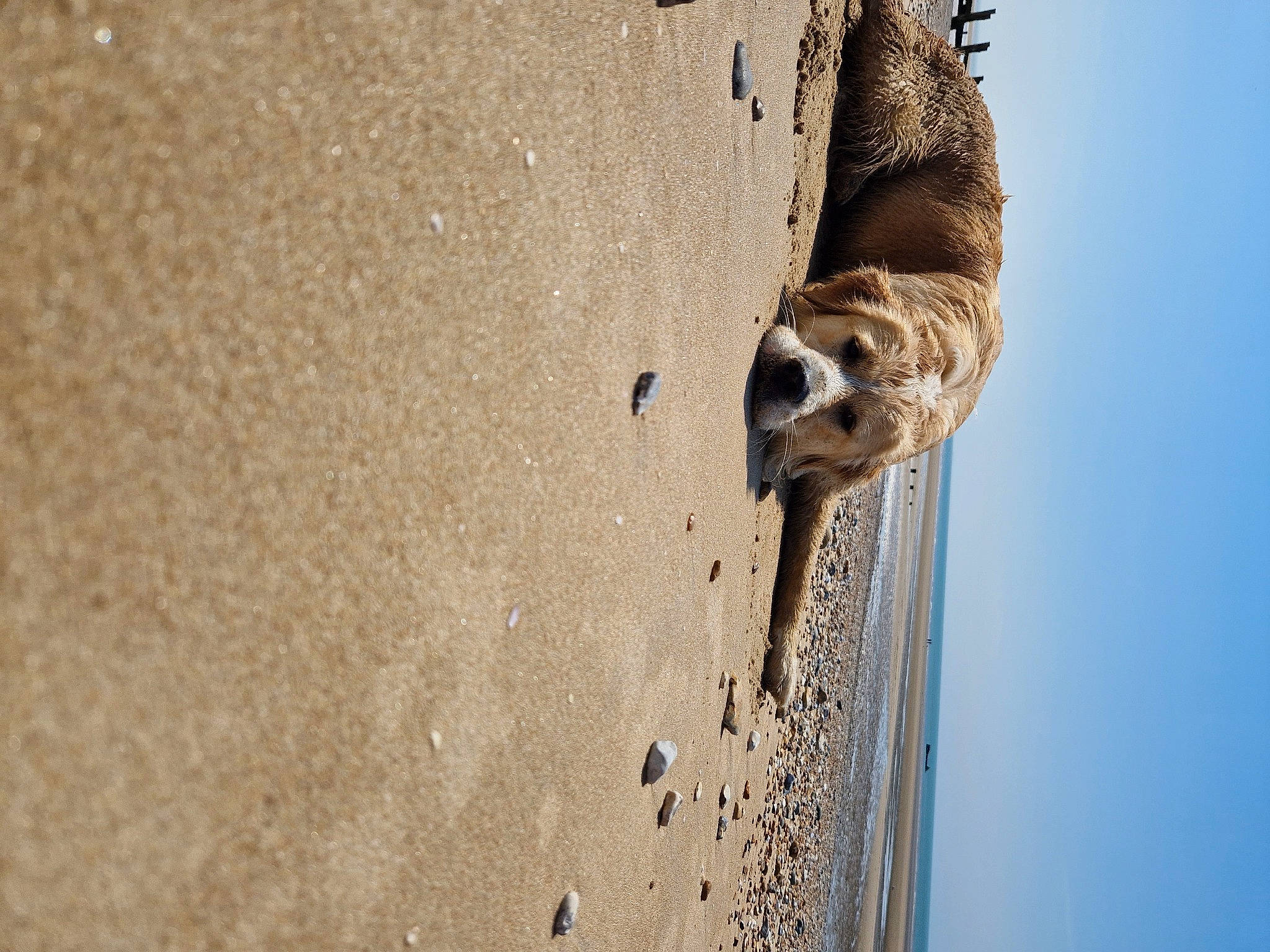 Kobi is registered to the contest to win money with this photo: beach, coast, concrete, fluid, lake, landscape, liquid, ocean, rock, sand, shadow, sky, soil, water, wildlife, window, wood