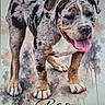 Bao participe au concours pour gagner de l'argent avec cette photo : dog, puppy, spotted_dog, portrait, illustration, watercolor, artwork, paint_splatter, tongue_out, happy, standing, front_view, floppy_ears, short_coat, blue_merle, brown, black, white, paper, name_text