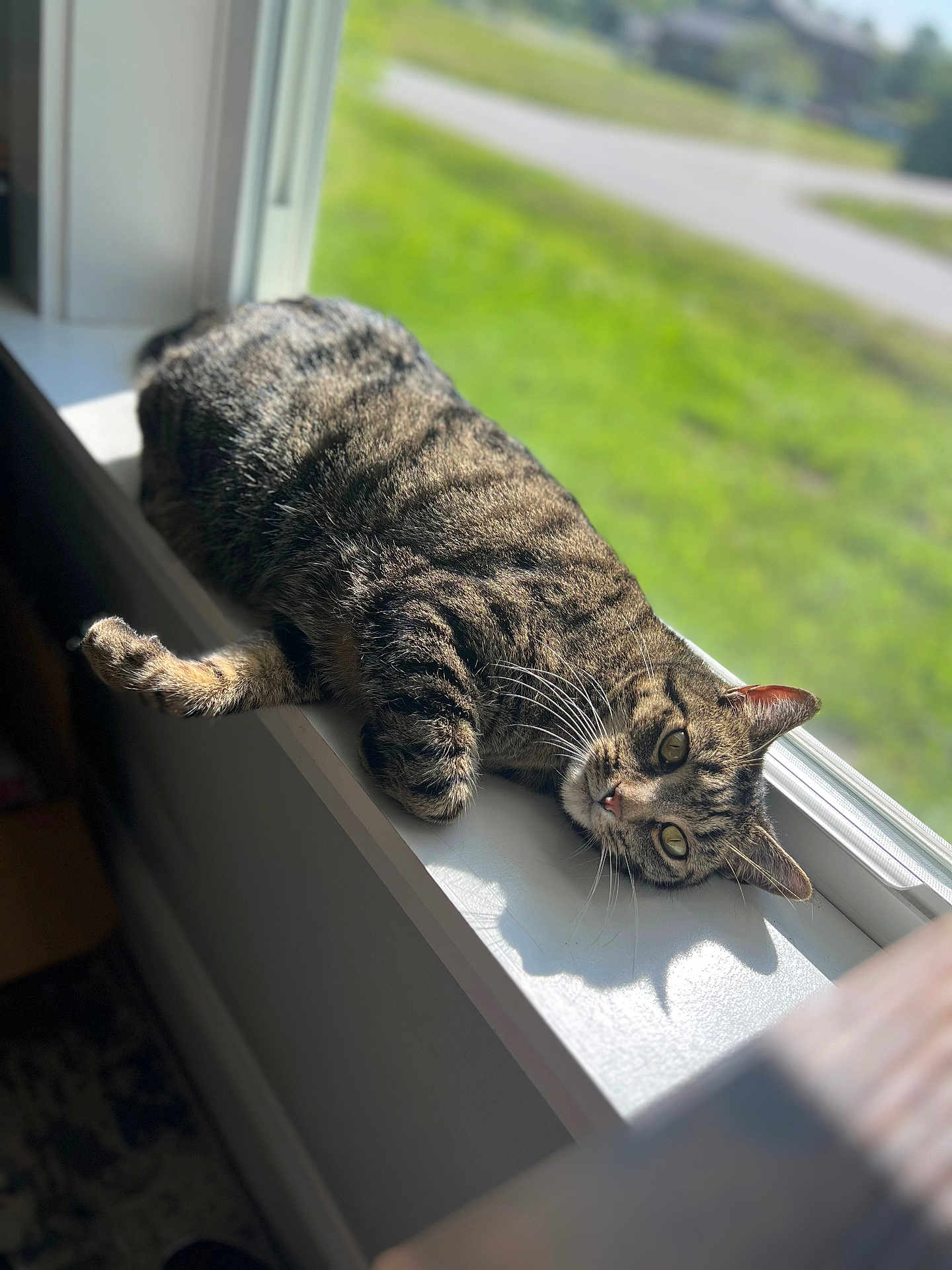 Duke