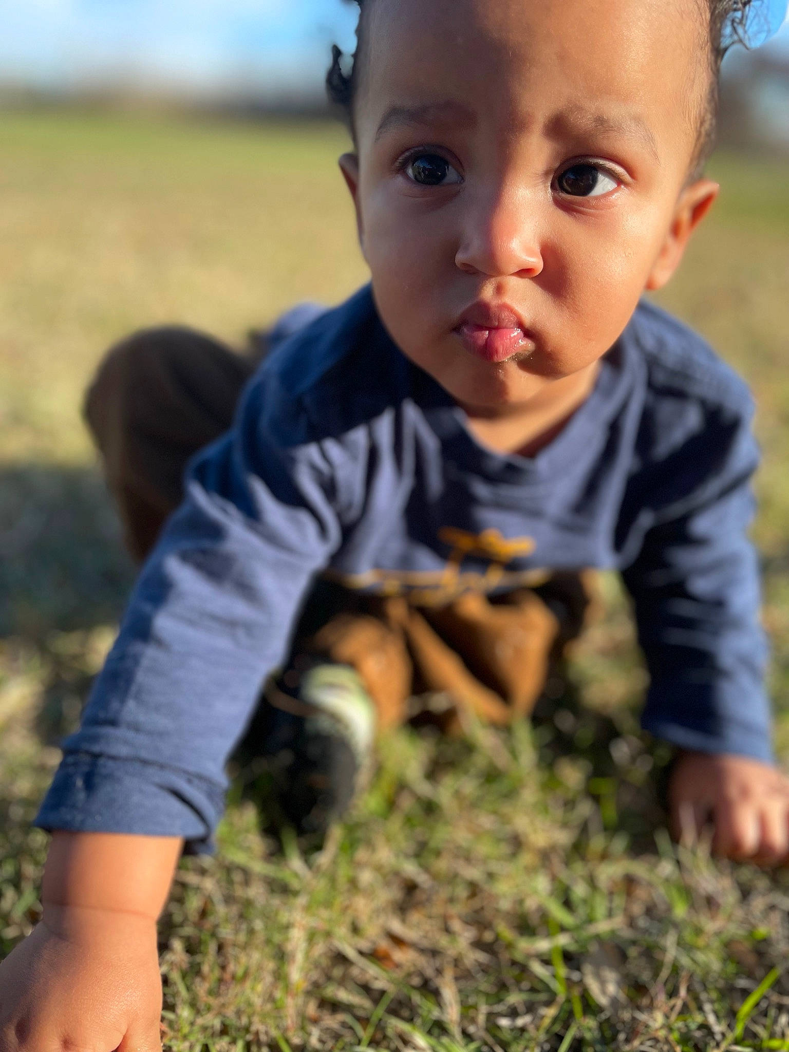 Brandon joined the competition — help win amazing prizes! baby_toddler_clothing, eye, finger, flash_photography, grass, grass_family, grassland, hand, happy, head, leg, meadow, people_in_nature, person, photograph, plant, summer, sunlight, t_shirt, toddler