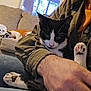 cat, black_and_white_cat, paw, person, arm, beard, couch, dog, blanket, window, indoor, relaxed, sleeping_dog, casual_clothing, jeans, orange_shirt, green_jacket, furniture, home, evening