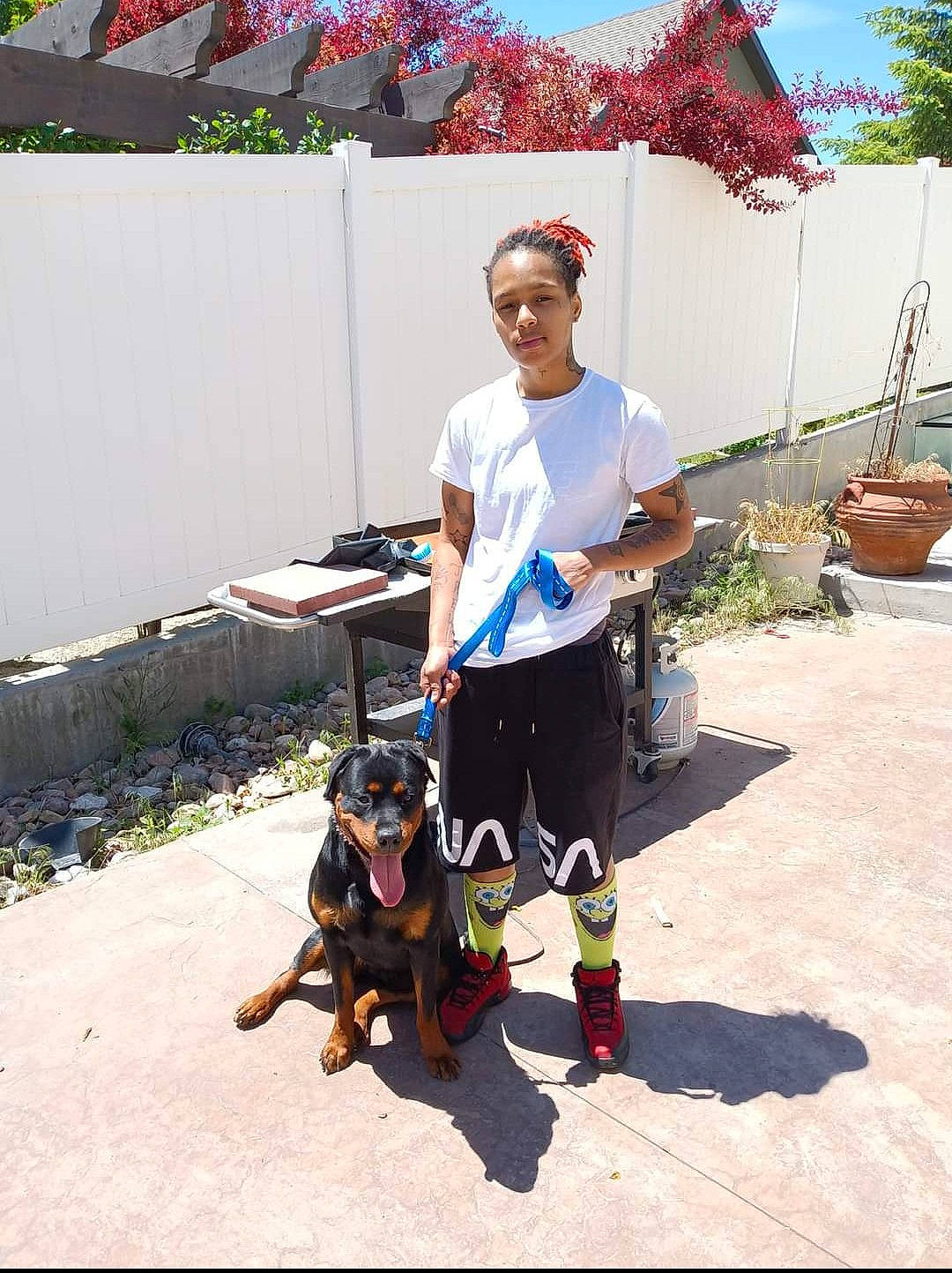 Loyalty is registered to the contest to win money with this photo: asphalt, bag, carnivore, companion_dog, dog, dog_breed, eyewear, fashion_accessory, flowerpot, fun, houseplant, leash, leisure, luggage_and_bags, personal_protective_equipment, plant, recreation, shorts, sky, tree