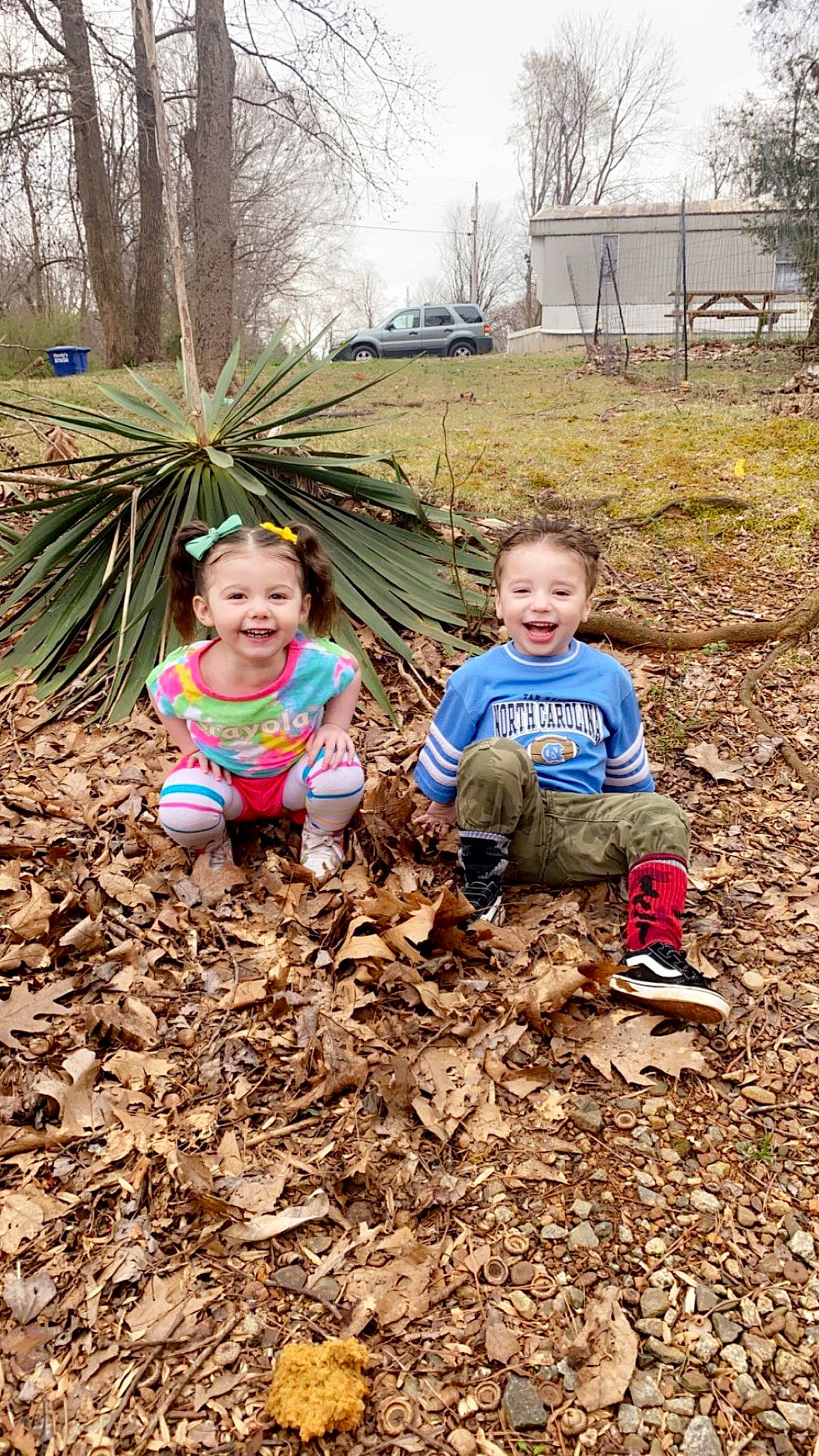 Bailey joined the competition — help win amazing prizes! child, fun, garden, grass, happy, house, joy, landscape, leisure, natural_landscape, people, people_in_nature, person, plant, smile, soil, toddler, tree, twig, wilderness