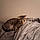 Abby