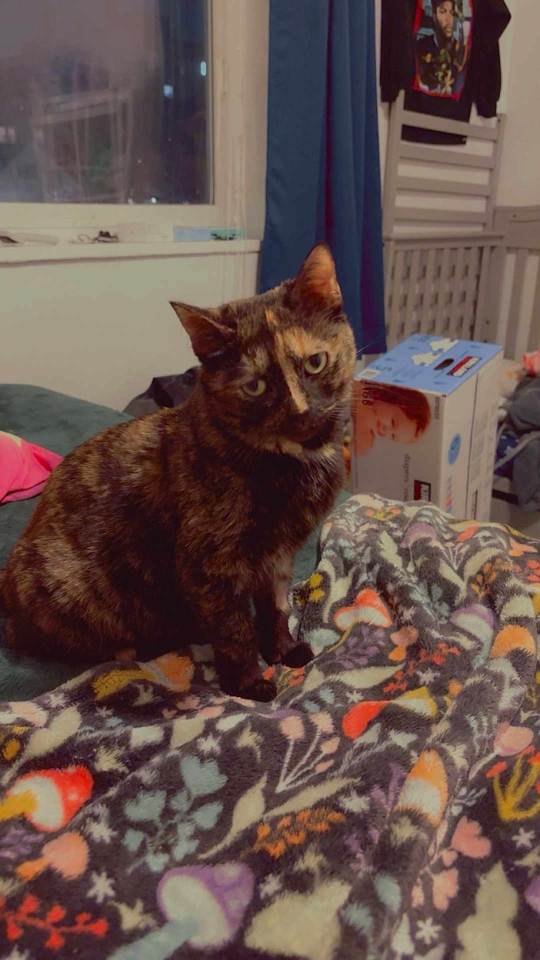 Toffee