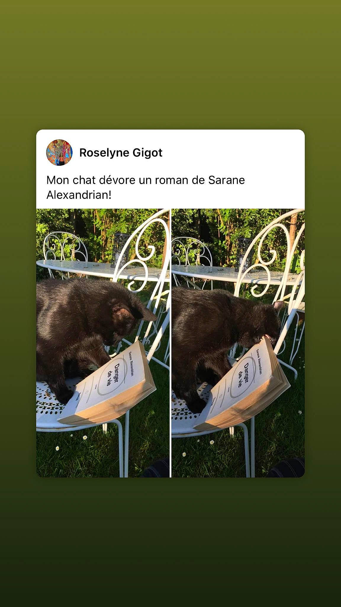 Réglisse participe au concours pour gagner de l'argent avec cette photo : advertising, brand, fish, font, graphic_design, grass, landscape, natural_landscape, organism, photo_caption, recreation, reptile, room, screenshot, soil, terrestrial_animal, terrestrial_plant, wetland, wildlife, working_animal