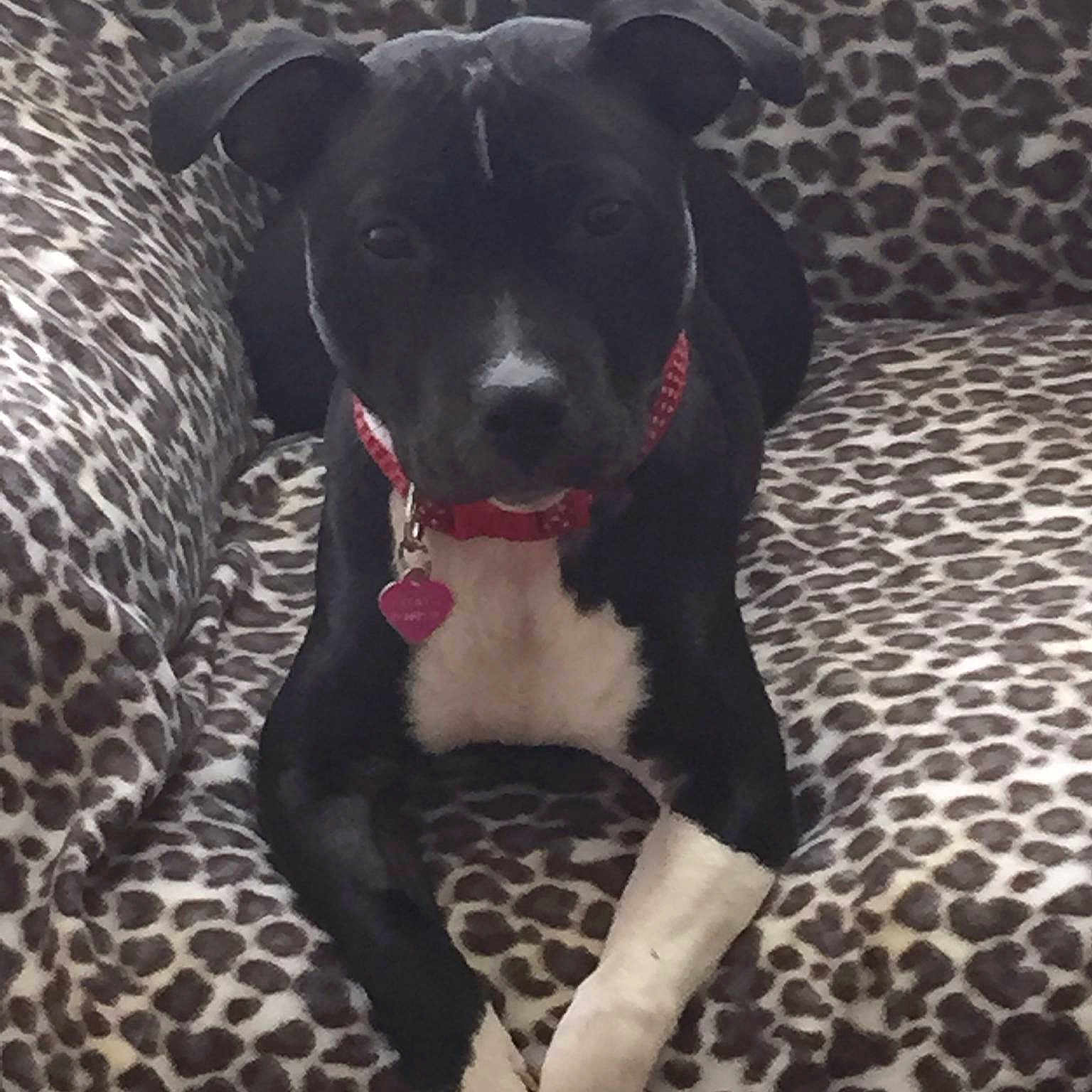 Ruby is registered to the contest to win money with this photo: