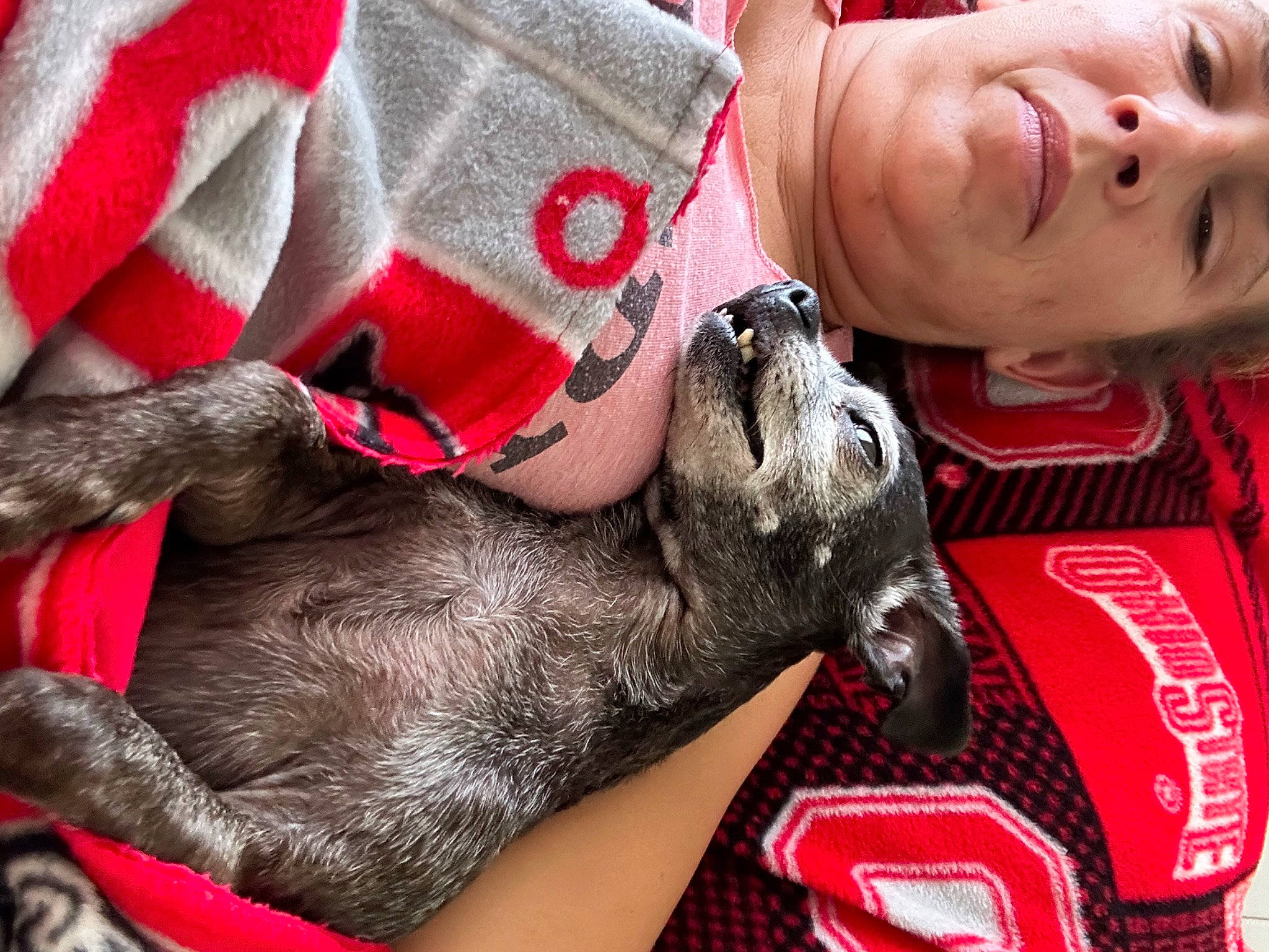 Emmie joined the competition — help win amazing prizes! baby_toddler_clothing, carmine, carnivore, child, collar, comfort, companion_dog, dog, dog_breed, fur, gesture, happy, lap, nail, pink, red, skin, smile, snout, toddler