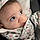 Allexie