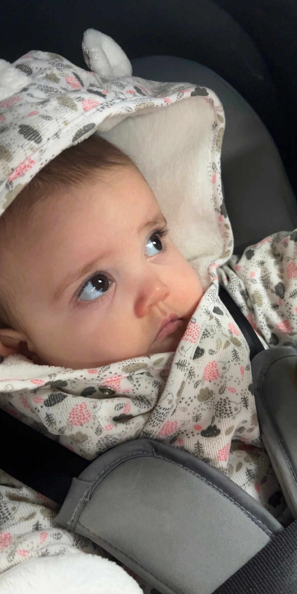 Allexie a rejoint le concours — aidez-le/la à gagner de superbes lots ! baby, child, hood, coat, pattern, car_seat, seatbelt, face, eyes, expression, warm_clothing, infant, cute, looking_away, closeup, indoors, soft_texture, cozy, headwear, small_person