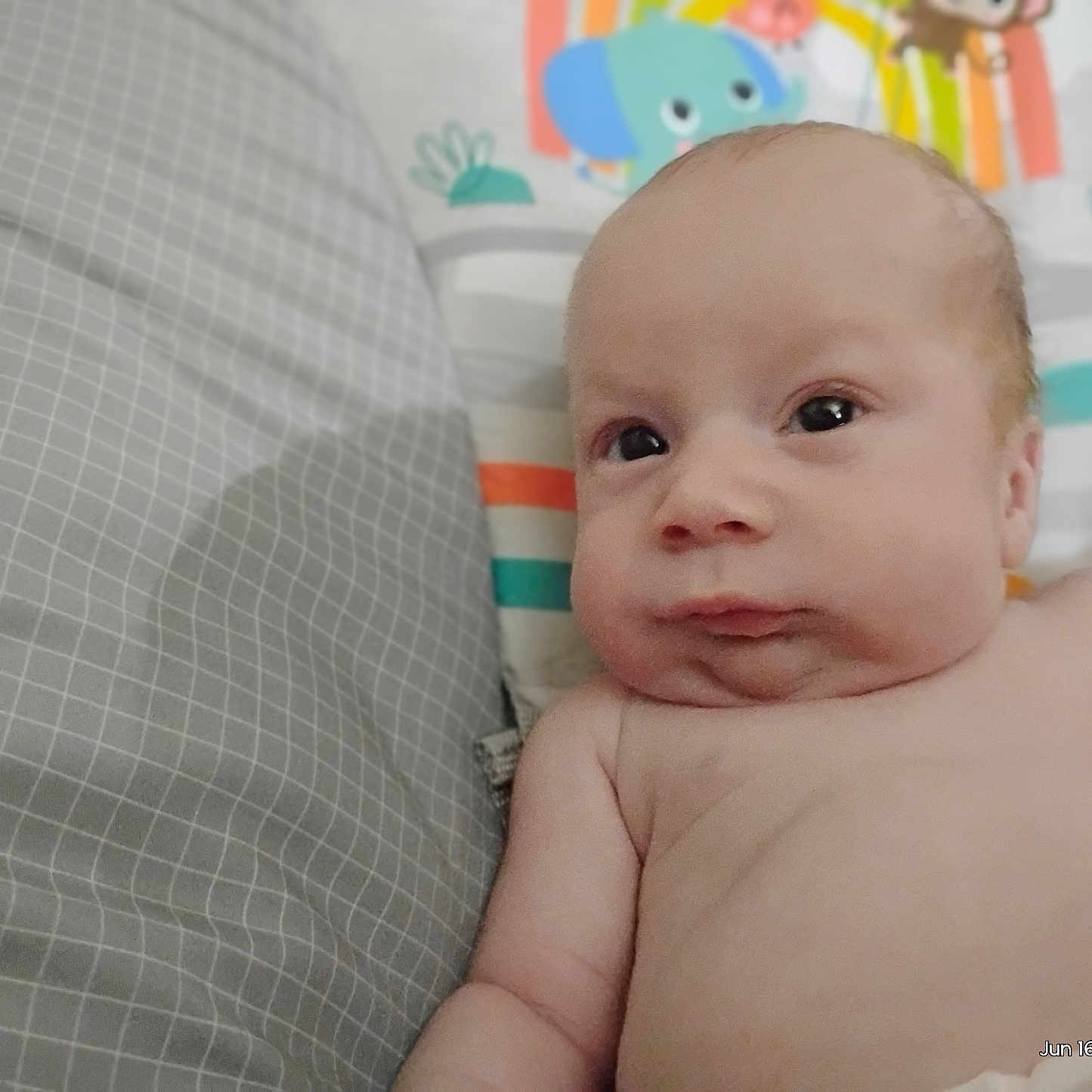 Landen