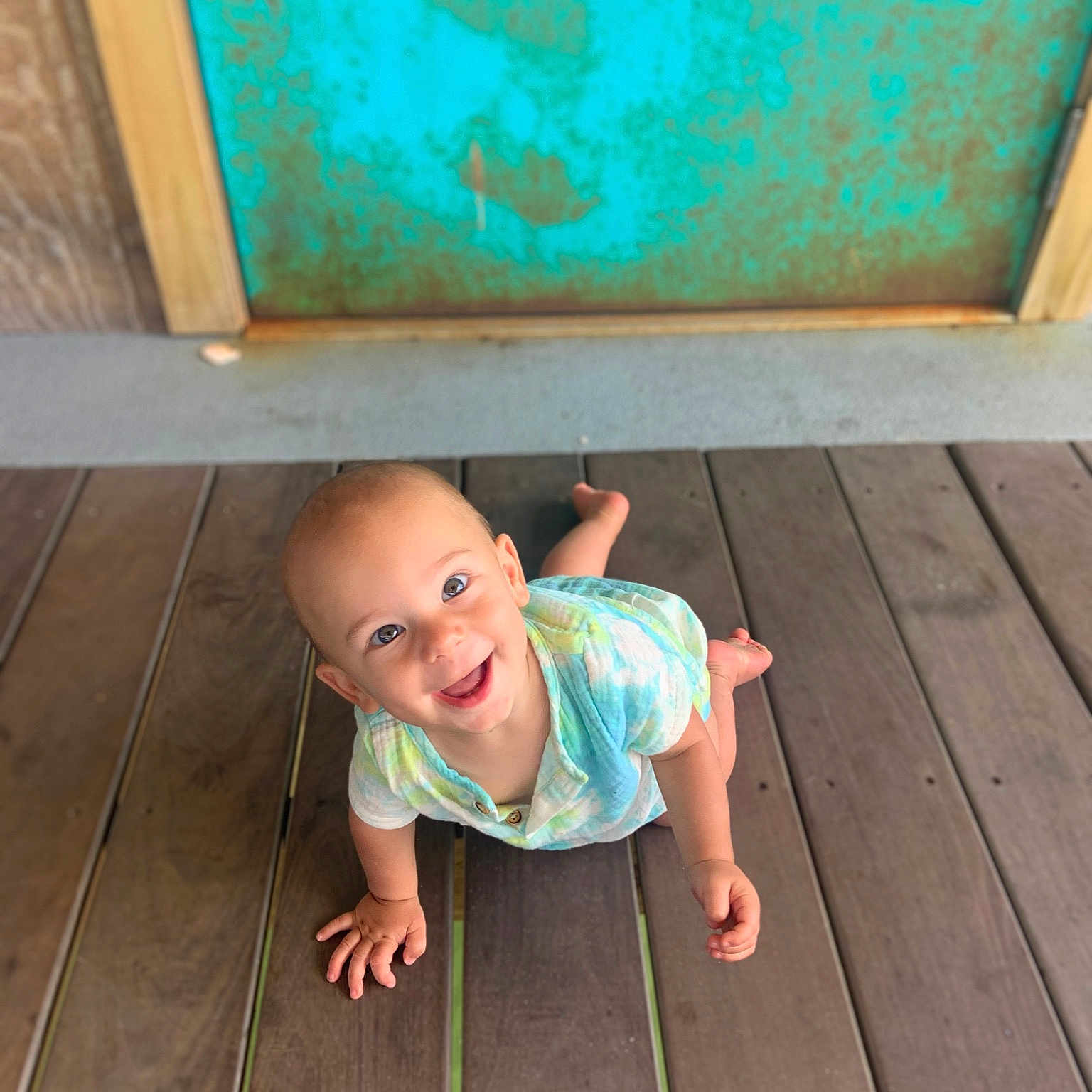 Raylan is registered to the contest to win money with this photo: baby_toddler_clothing, blue, eye, floor, flooring, grass, green, hardwood, head, leaf, leg, line, plant, skin, smile, standing, table, toddler, wood, wood_stain