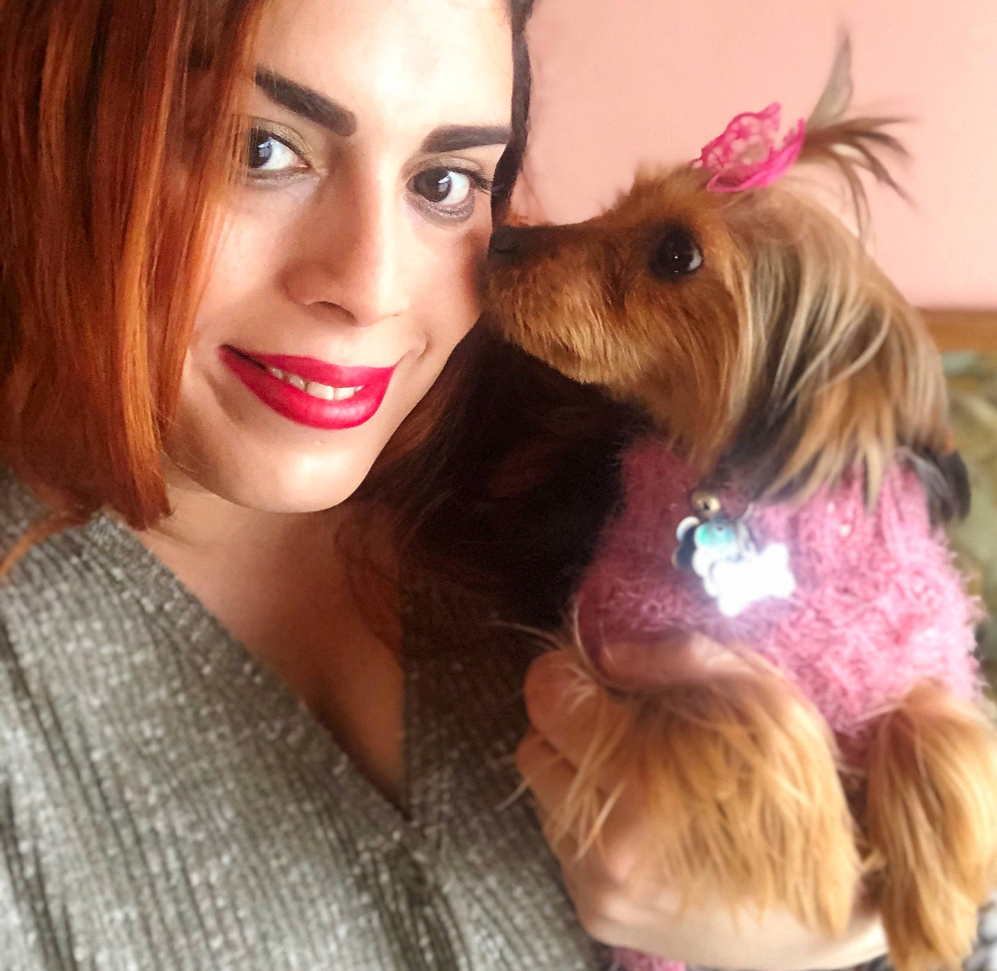 Kelly joined the competition — help win amazing prizes! blond, brown_hair, canidae, carnivore, companion_dog, dog, dog_breed, dog_clothes, fur, interaction, maltepoo, photography, pink, puppy, puppy_love, selfie, smile, terrier, yorkipoo, yorkshire_terrier