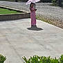 Ariana Michelle is registered to the contest to win money with this photo: child, girl, umbrella, pink_jumpsuit, shadow, concrete, driveway, grass, gravel, stone_wall, sunlight, smile, standing, outdoor, playful, greenery, trees, person, daylight, casual_clothing