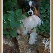 Jarod participe au concours pour gagner de l'argent avec cette photo :