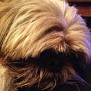 Bouba a rejoint le concours — aidez-le/la à gagner de superbes lots !