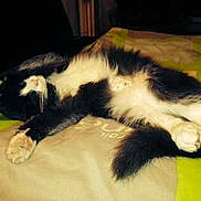 Violette a rejoint le concours — aidez-le/la à gagner de superbes lots !