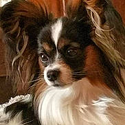 Jarod a rejoint le concours — aidez-le/la à gagner de superbes lots !