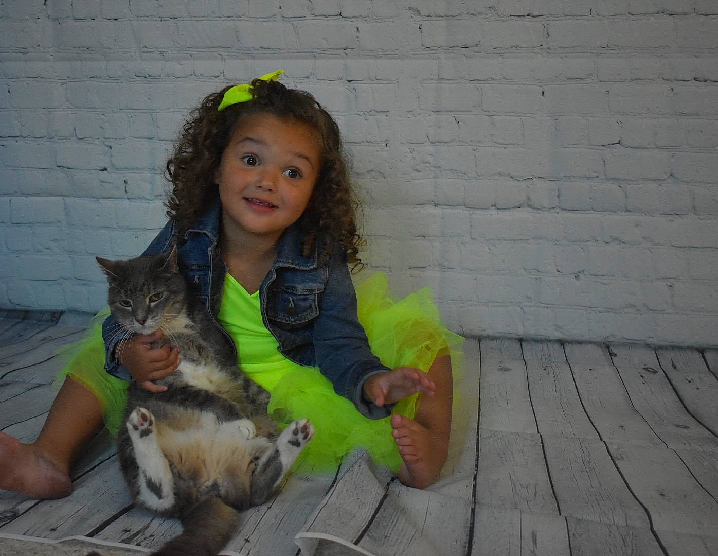 Paisley is registered to the contest to win money with this photo: carnivore, cat, child, domestic_short_haired_cat, facial_expression, fawn, felidae, fun, fur, grass, happy, joy, leisure, person, sitting, small_to_medium_sized_cats, smile, snapshot, tail, toddler