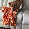 dog, puppy, blanket, couch, white_couch, orange_pattern, toy, floor, wood_floor, pet, indoor, playful, animal, canine, fur, tail, ears, mouth, home, living_room