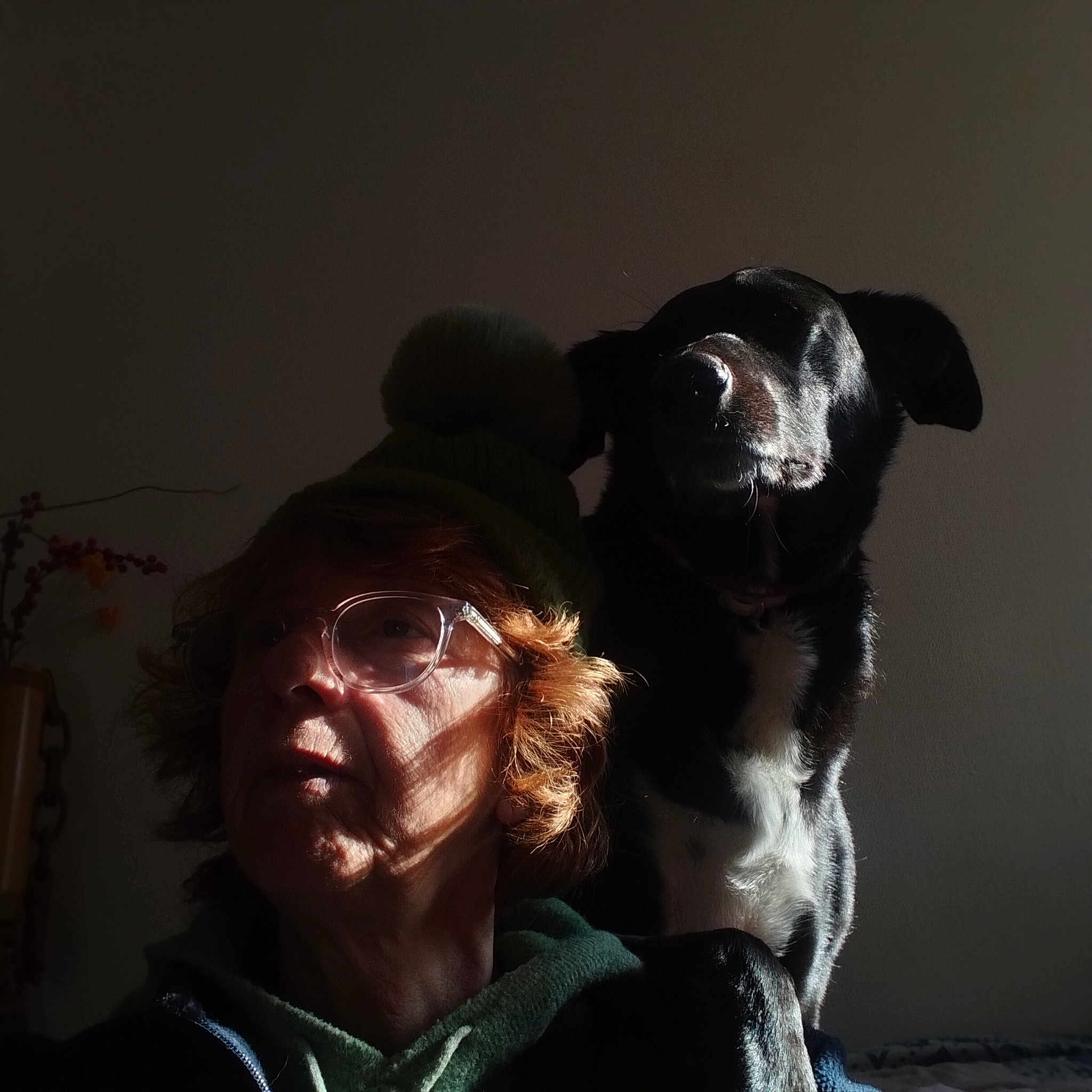 Ziggy