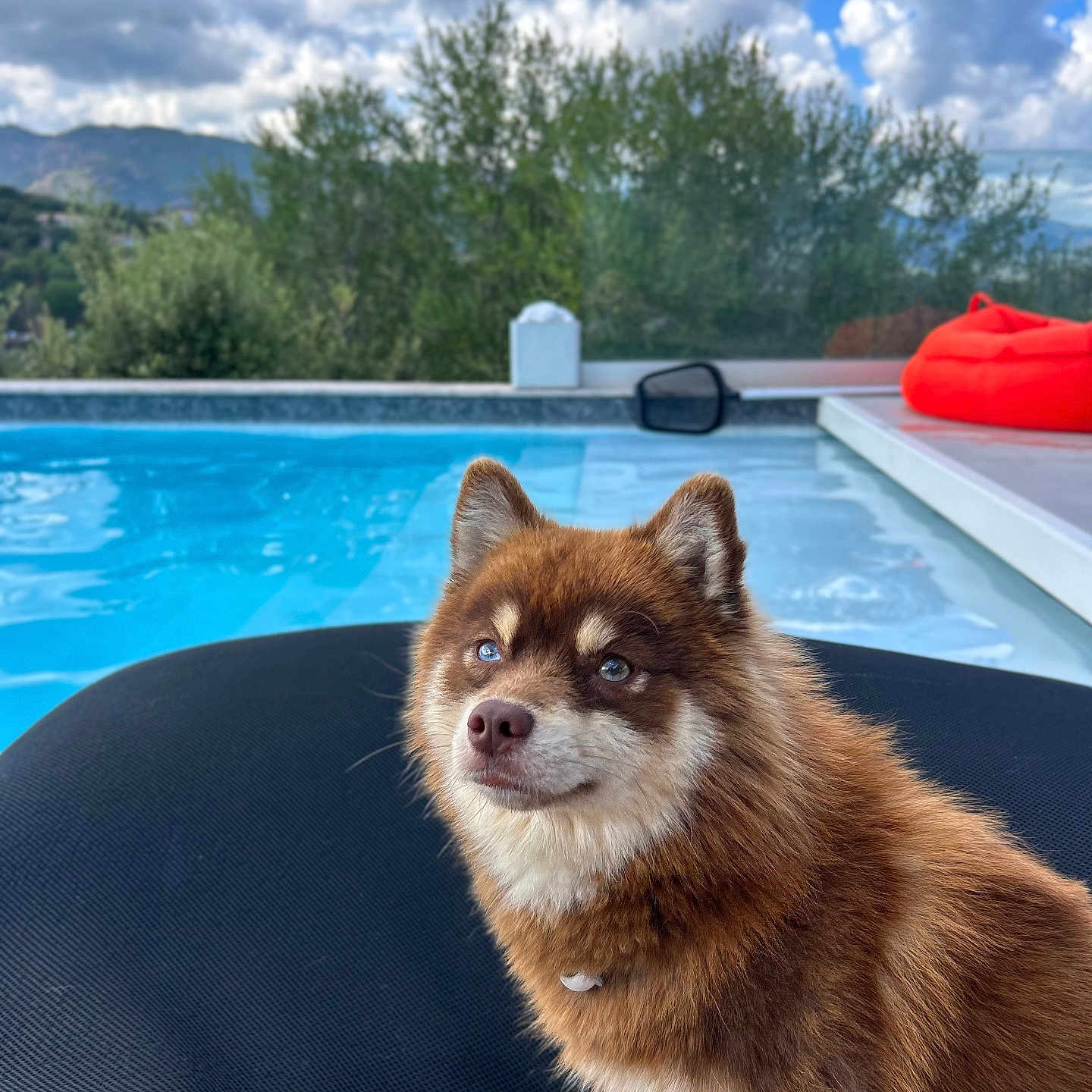 Maïlo