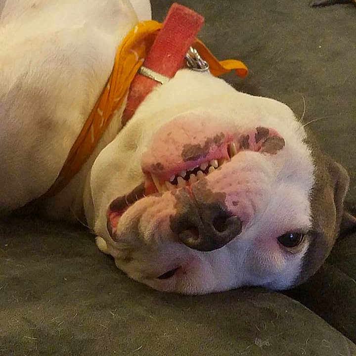Patch