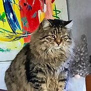 Tiger participe au concours pour gagner de l'argent avec cette photo : abstract_art, animal, cat, colorful, decor, domestic_animal, ears, feline, fluffy, fur, furniture, indoor, looking_away, mammal, painting, pet, portrait, sitting, tabby_cat, whiskers