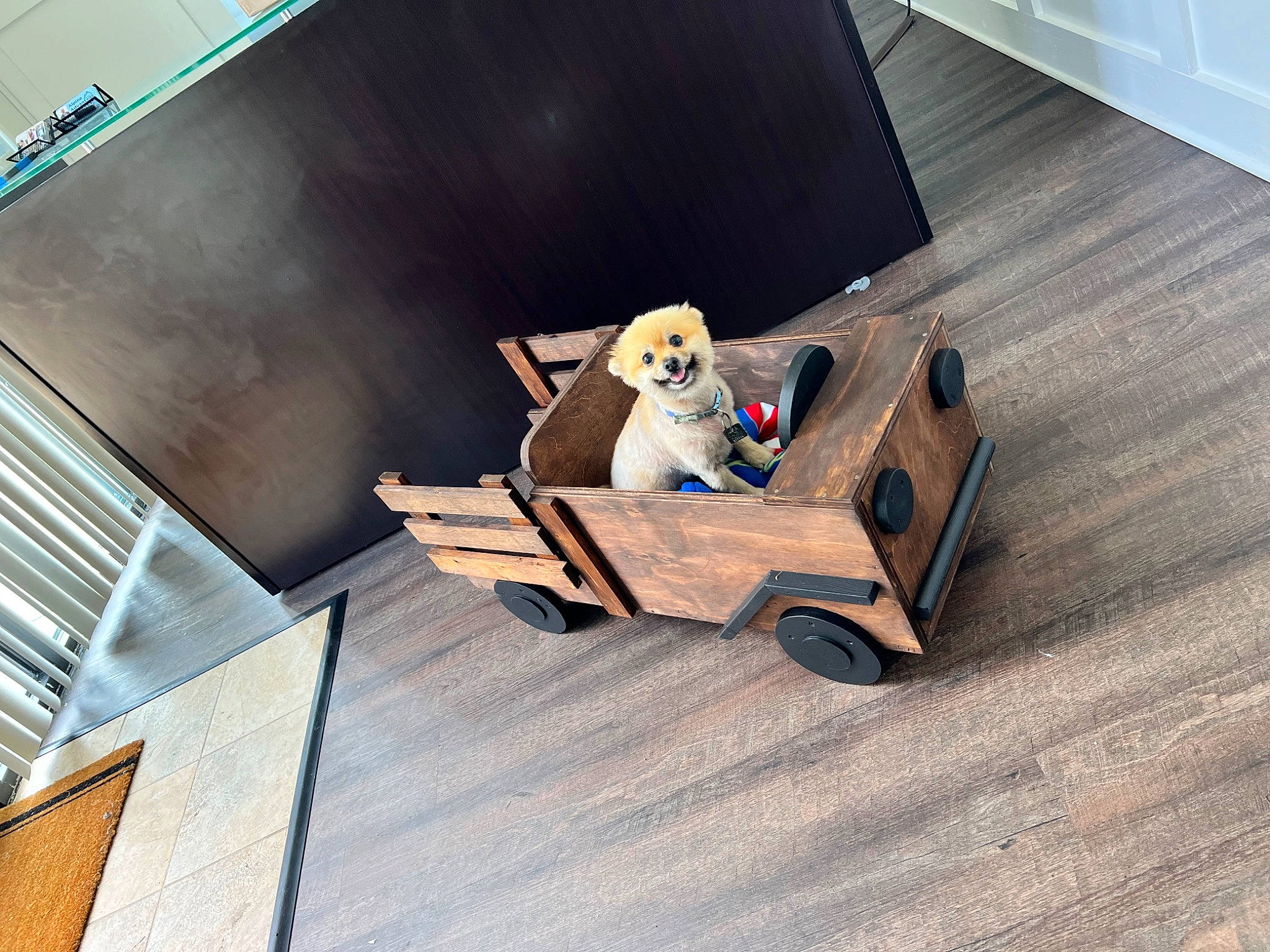 Gracie is registered to the contest to win money with this photo: animation, automotive_design, box, cardboard, carnivore, carton, display_device, eyewear, floor, flooring, font, hardwood, machine, metal, plywood, room, stuffed_toy, toy, wood, wood_flooring