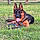Alky