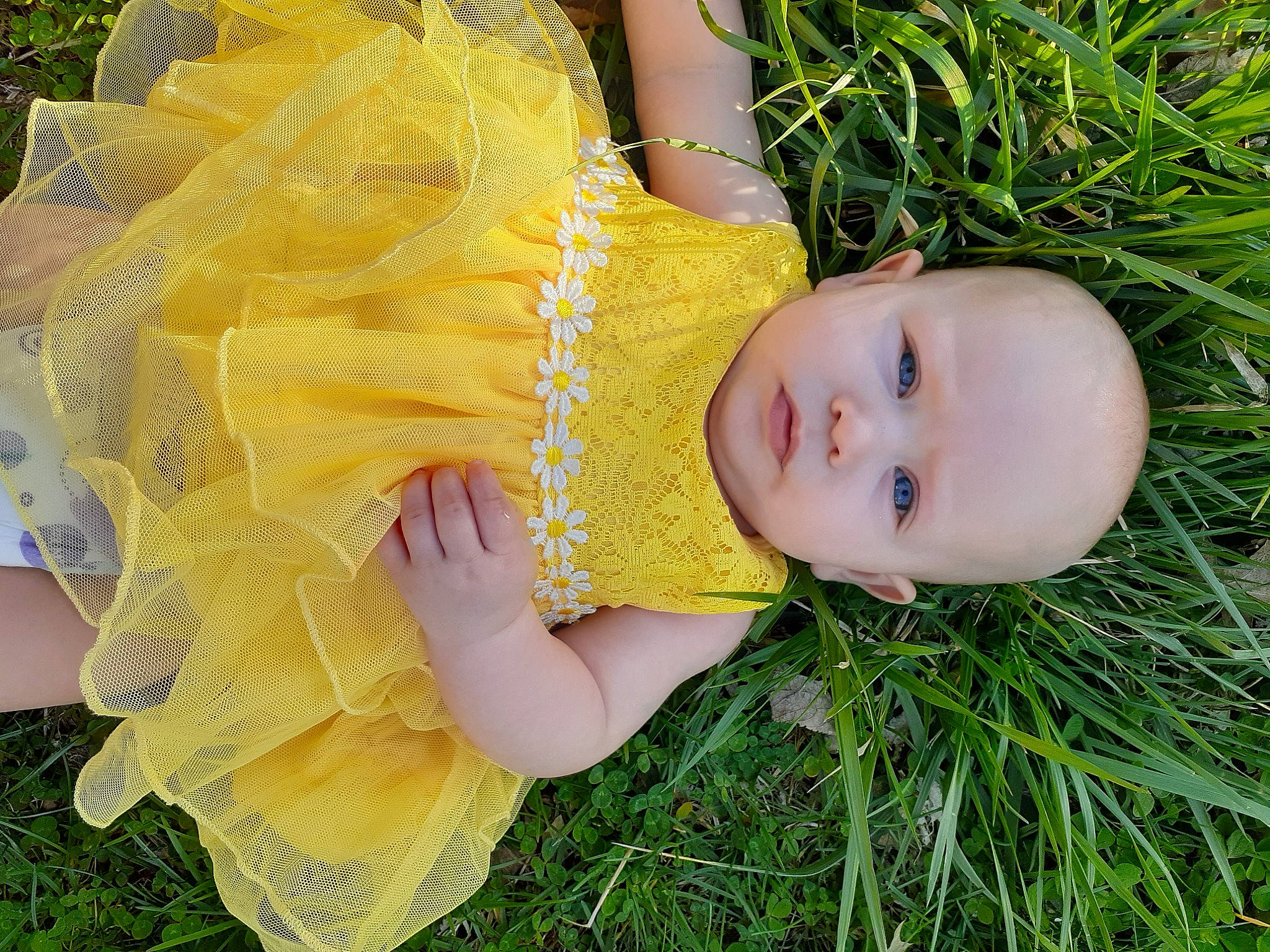Emmalyn joined the competition — help win amazing prizes! baby, baby_toddler_clothing, child, dress, fawn, fun, grass, grass_family, grassland, happy, hat, pattern, people_in_nature, person, plant, prairie, skin, smile, toddler, tree