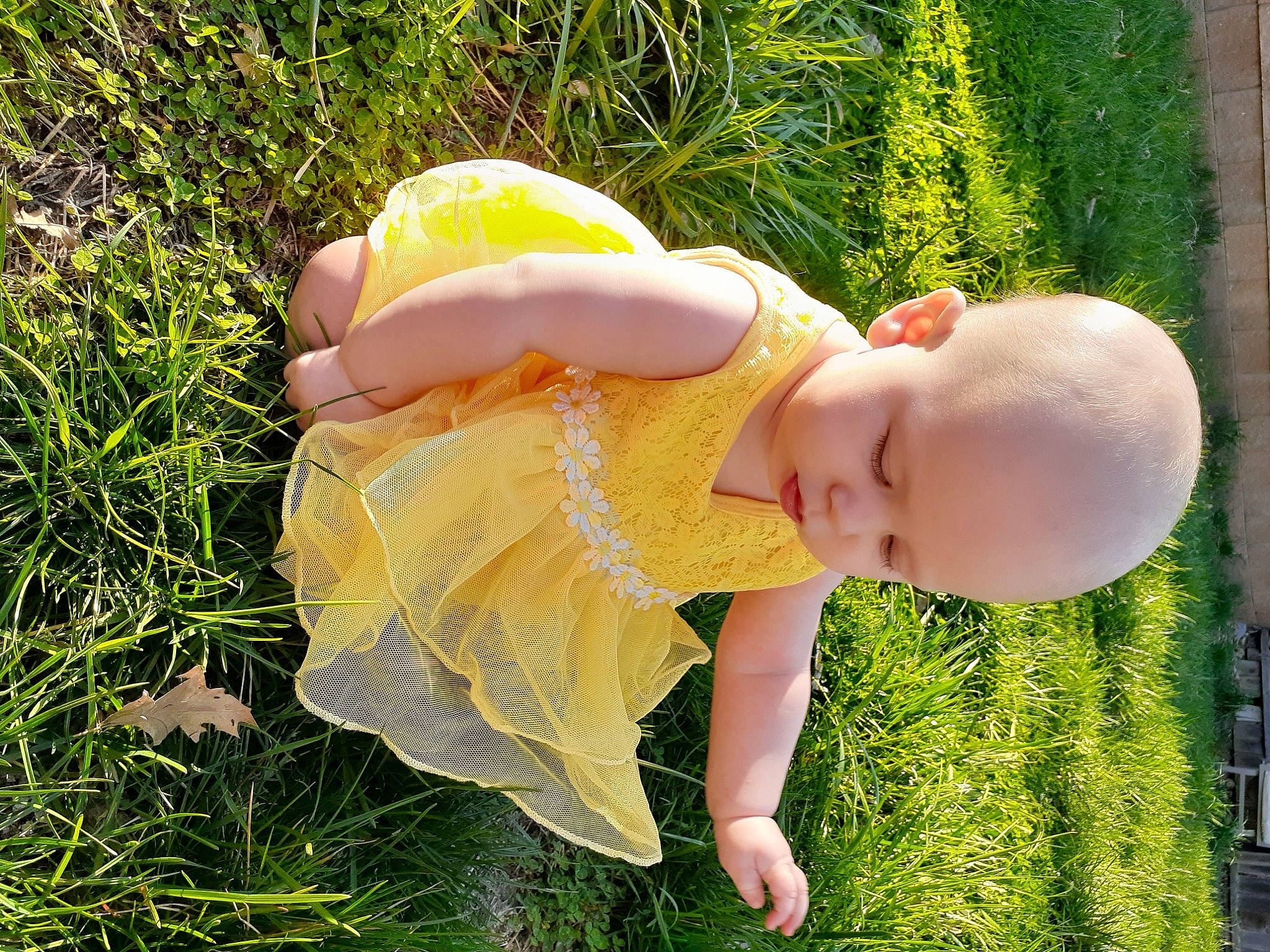 Emmalyn is registered to the contest to win money with this photo: baby, baby_toddler_clothing, dress, fawn, finger, grass, hand, happy, hat, human_body, mammal, meadow, natural_environment, people_in_nature, person, plant, smile, sun_hat, toddler, tree