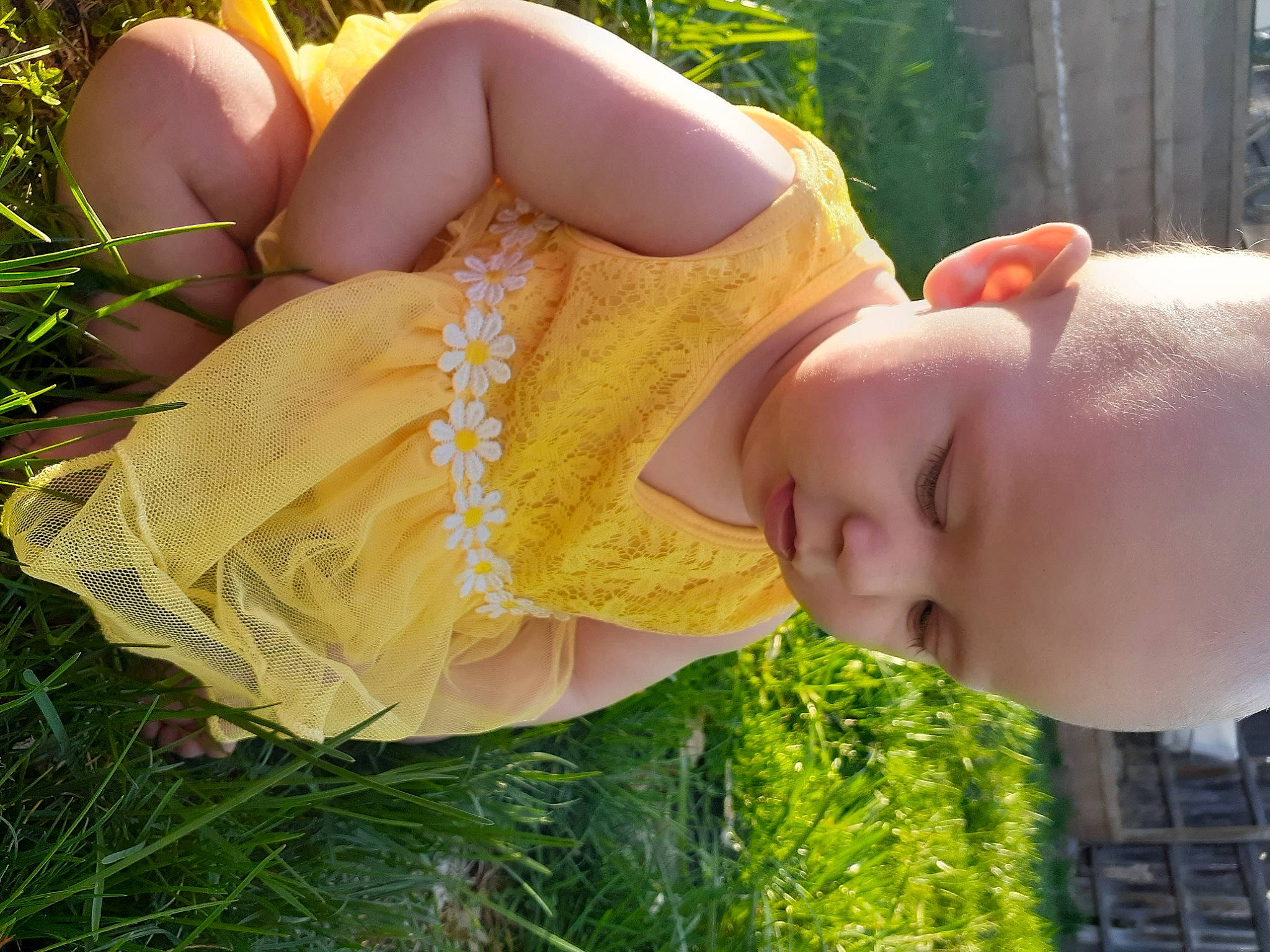 Emmalyn joined the competition — help win amazing prizes! abdomen, botany, cool, eyewear, fawn, finger, fun, grass, hairstyle, happy, headgear, human_leg, lawn, leisure, meadow, people_in_nature, person, plant, thigh, toddler