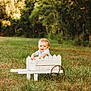 child, toddler, wagon, grass, outdoor, field, trees, sunlight, smile, curly_hair, wood, nature, baby, greenery, daylight, playful, cute, park, relaxing, portrait