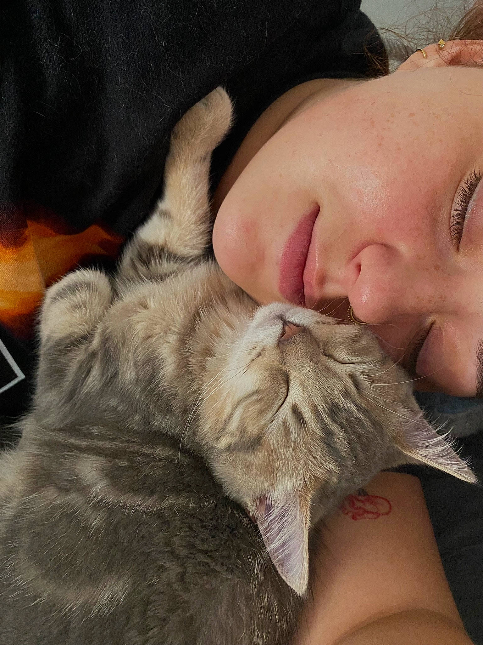 Nem a rejoint le concours — aidez-le/la à gagner de superbes lots ! beard, carnivore, cat, comfort, ear, eyelash, fawn, felidae, finger, gesture, hand, happy, mammal, nose, selfie, skin, small_to_medium_sized_cats, snout, vertebrate, whiskers