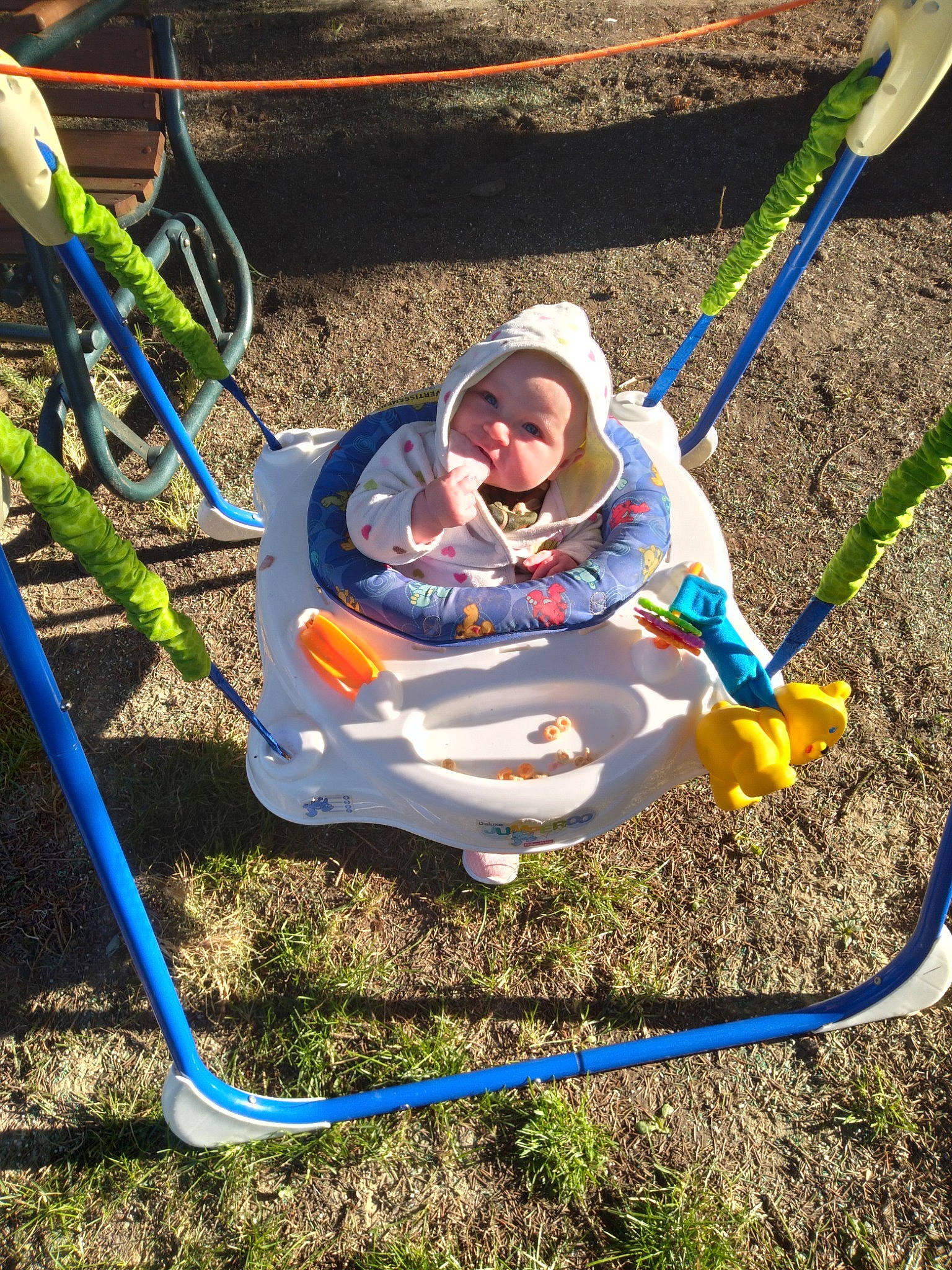 Jurney joined the competition — help win amazing prizes! child, city, electric_blue, fun, grass, grass_family, green, headwear, lawn, leisure, outdoor_play_equipment, outdoor_recreation, people_in_nature, person, plant, play, playground, playing_sports, recreation, soil