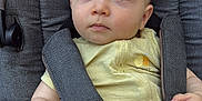 Aaron participe au concours pour gagner de l'argent avec cette photo : baby, baby_care, blue_eyes, car_seat, child, child_seat, cute, hand, indoor, infant, infant_clothing, leg, looking_up, portrait, seatbelt, sitting, soft_fabric, straps, yellow_onesie, young_child