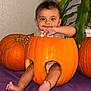 baby, pumpkin, child, orange, smile, plant, indoor, cute, legs, face, purple_cloth, wall, sitting, happy, holiday, decoration, seasonal, cute_expression, festive, fun