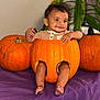 baby, pumpkin, hollowed_pumpkin, child, smiling, legs, feet, plants, greenery, purple_cloth, indoor, cute, festive, halloween, orange, face, sitting, cozy, carved_pumpkin, happy