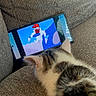 cat, kitten, pet, furry, fluffy, animal, couch, sofa, tablet, screen, cartoon, indoors, home, cozy, seated, back_view, ears, long_hair, brown_and_white, entertainment