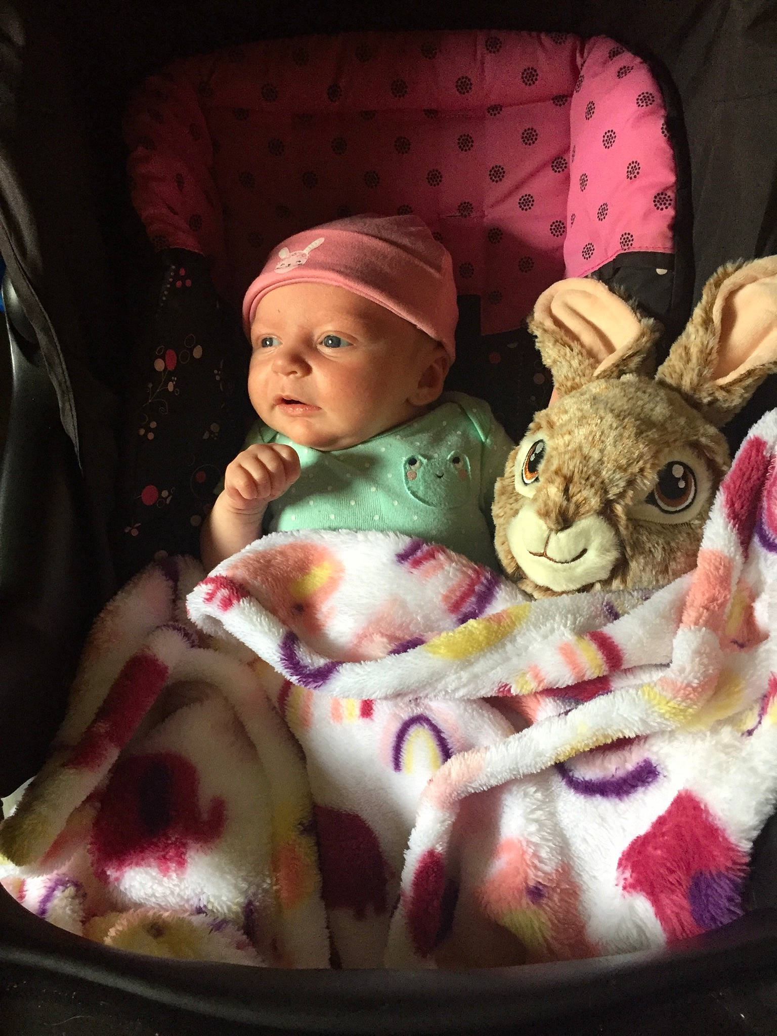 Beatrix is registered to the contest to win money with this photo: art, carmine, child, doll, event, figurine, fun, fur, hare, headwear, magenta, pattern, person, pink, plush, purple, rabbit, rabbits_and_hares, room, stuffed_toy