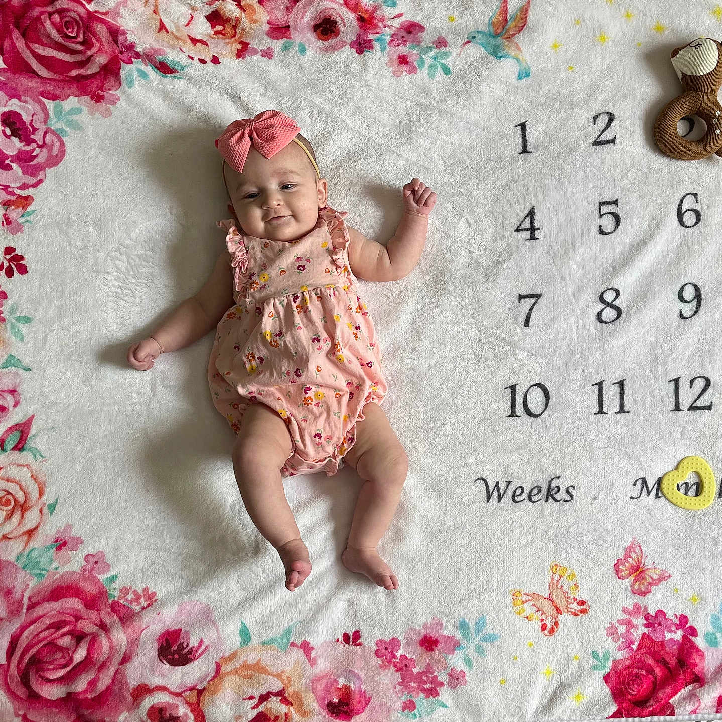 Faith is registered to the contest to win money with this photo: baby, butterflies, child, cute, deer_plush, floral_pattern, headband, infant, lying_down, milestone_blanket, months, numbers, pink_bow, portrait, romper, roses, smiling, soft_blanket, toy, weeks