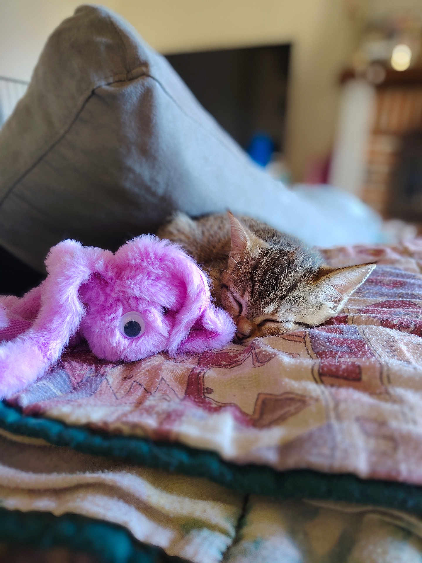 Aprille a rejoint le concours — aidez-le/la à gagner de superbes lots ! kitten, cat, sleeping, stuffed_toy, pink, blanket, cozy, indoor, furniture, couch, soft, toy, tabby, nap, cute, pet, animal, closeup, rest, relaxation