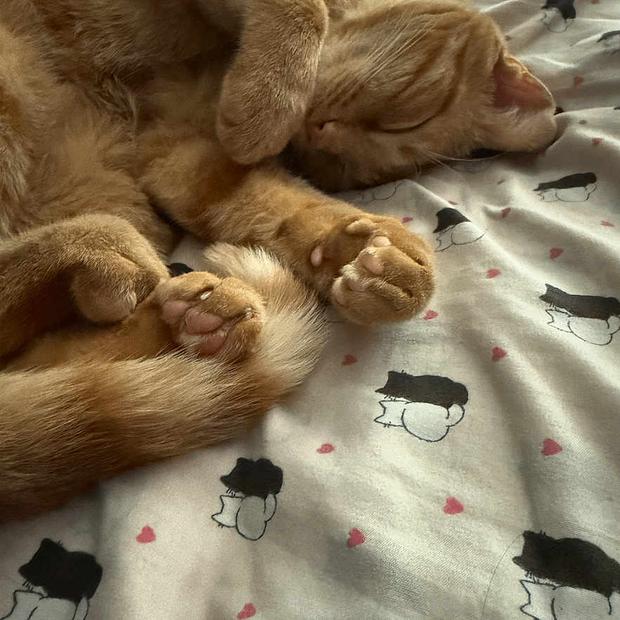 Tigger