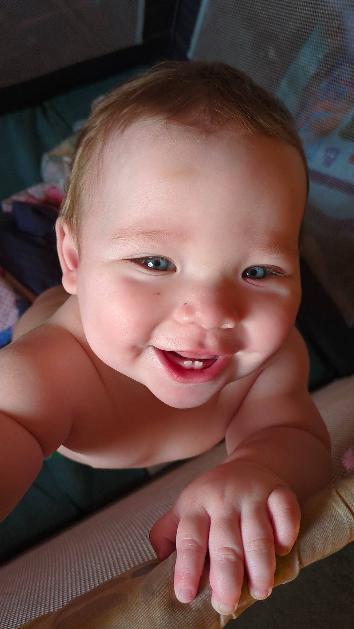 Bentley joined the competition — help win amazing prizes! baby, cheek, chin, ear, eye, eyebrow, eyelash, face, finger, gesture, hand, happy, human_body, iris, lip, mouth, neck, nose, person, skin