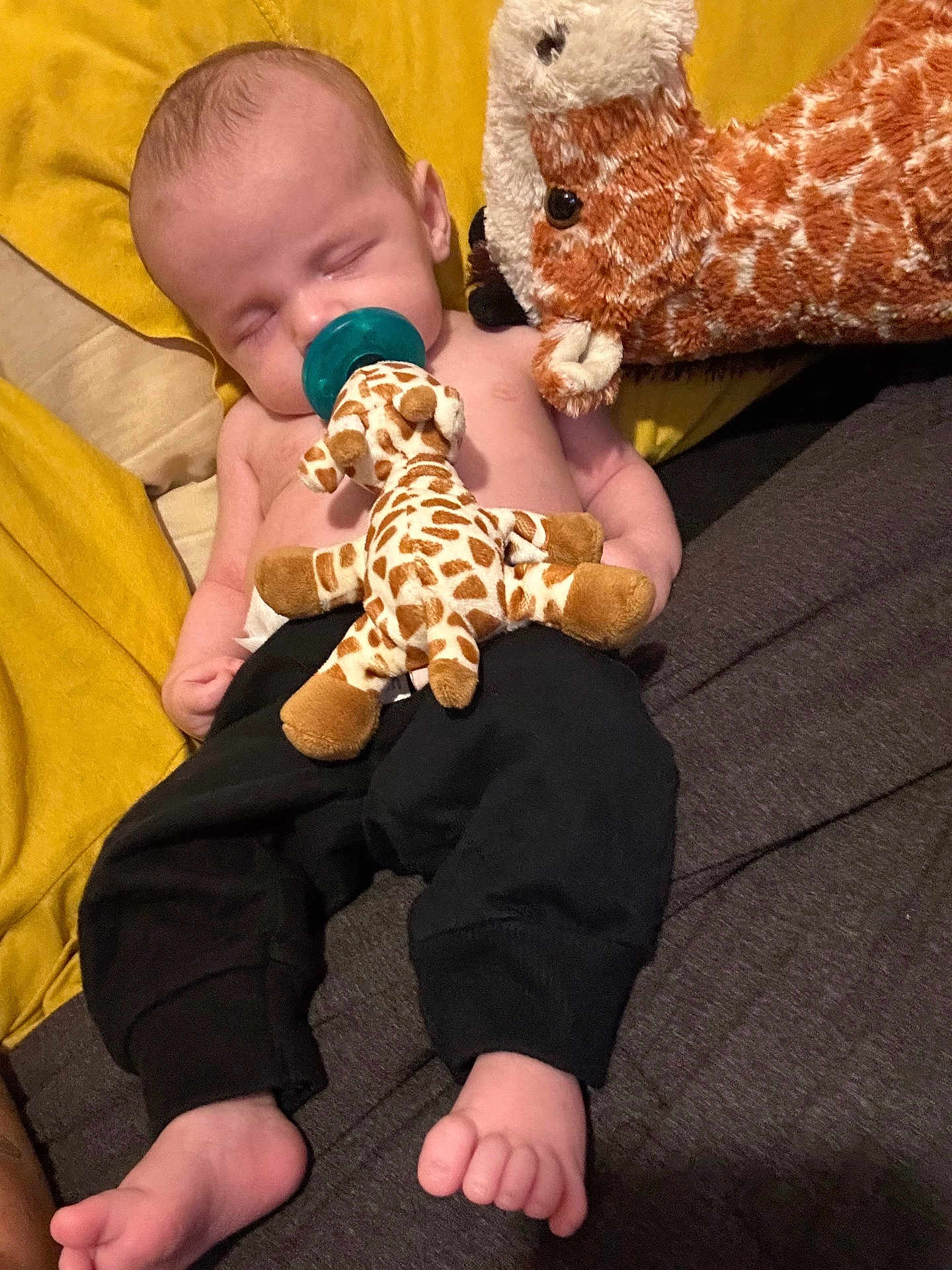 Koah is registered to the contest to win money with this photo: baby, black_pants, blanket, child, comfort, cozy, cute, feet, giraffe, indoors, infant, nap, pacifier, person, relaxing, sleeping, soft_toy, stuffed_animal, toy, yellow