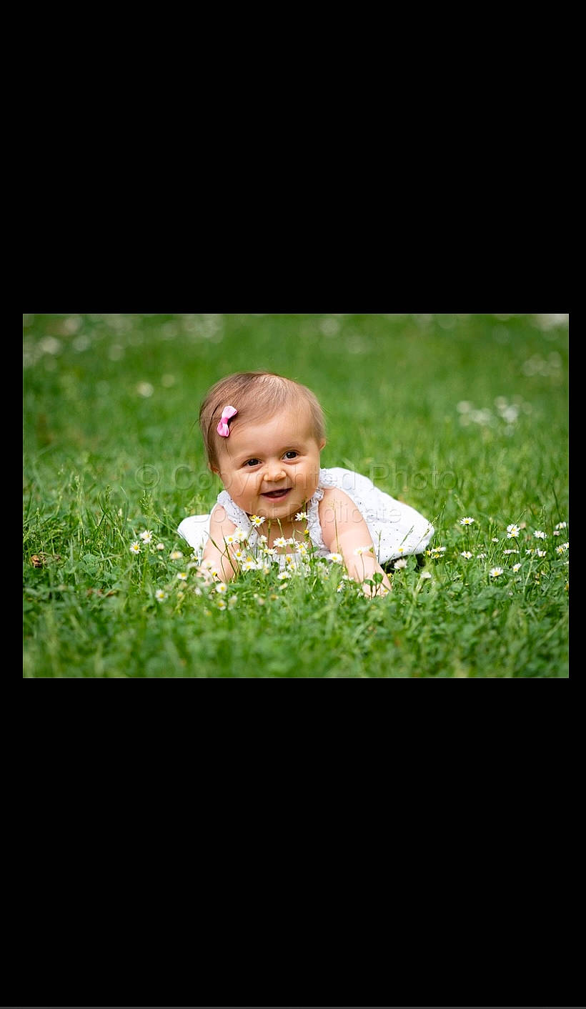 Emilia a rejoint le concours — aidez-le/la à gagner de superbes lots ! baby, child, eye, flash_photography, grass, grassland, hair, happy, human_body, landscape, natural_landscape, people_in_nature, person, picture_frame, plant, prairie, sitting, smile, terrestrial_plant, toddler