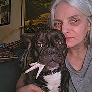 Gunner joined the competition — help win amazing prizes! woman, dog, indoor, portrait, black_dog, white_chest, chicken_foot, couch, cushions, tapestry, gray_hair, casual_clothing, face, pet, animal, holding, looking_at_camera, closeup, home, furniture